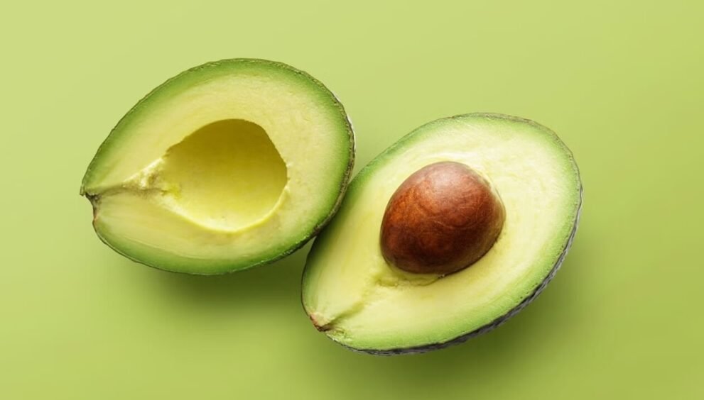 Avocado Calories