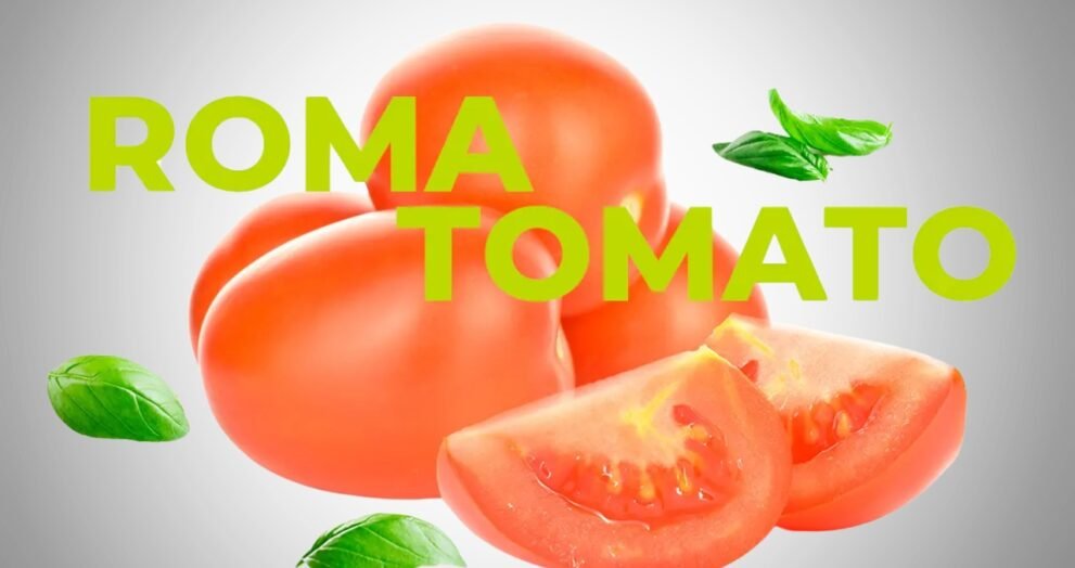 roma tomato nutrition