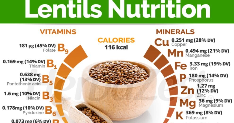 red lentils nutrition facts