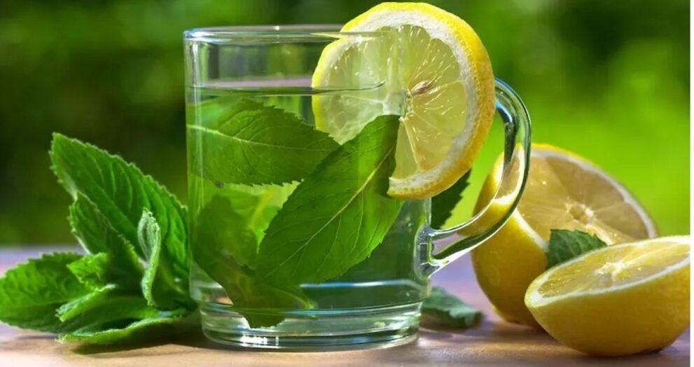 spearmint tea