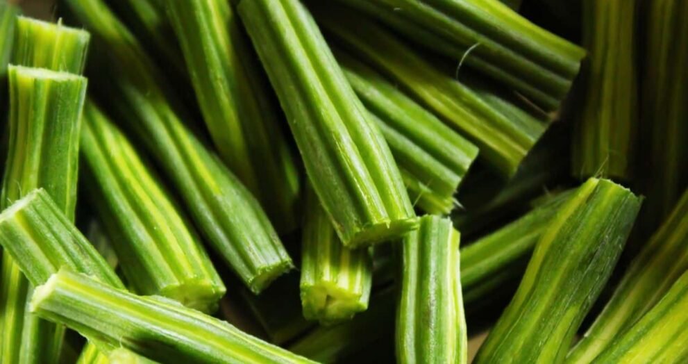 drumstick nutrition