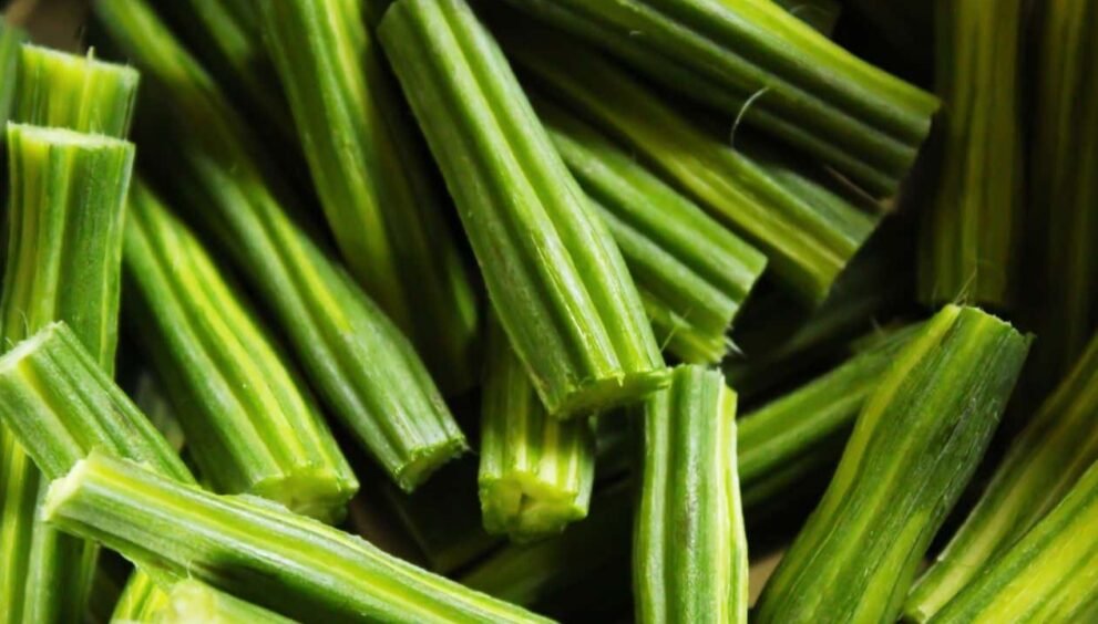 drumstick nutrition