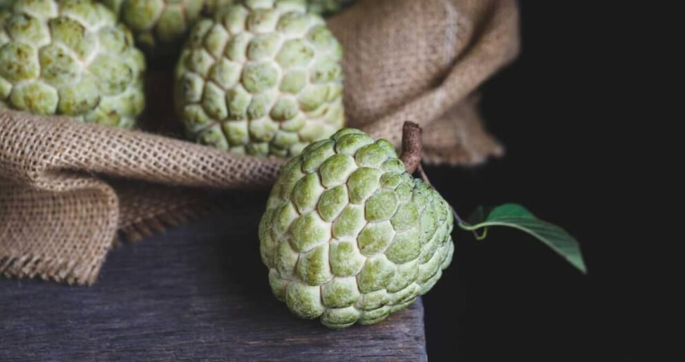 cherimoya benefits