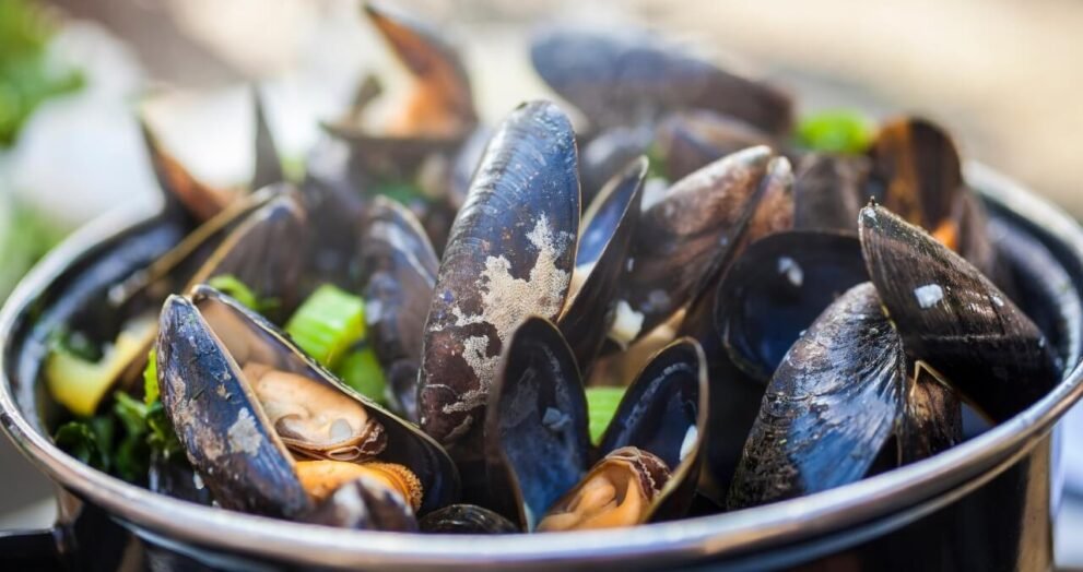 the nutritional value of mussels