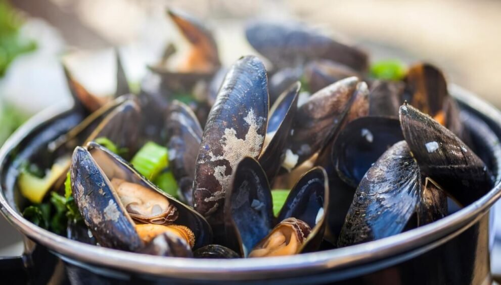 the nutritional value of mussels