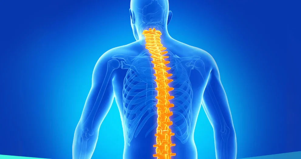 pain in lower back when sneezing