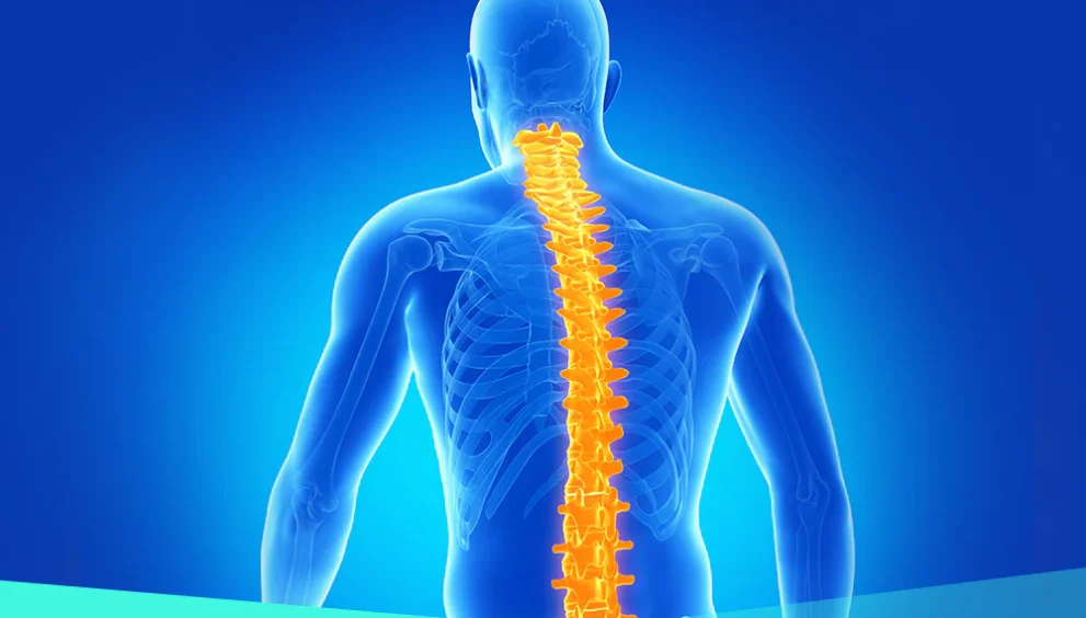 pain in lower back when sneezing