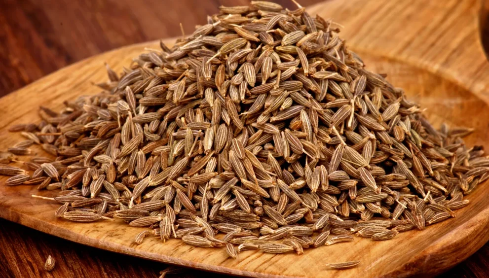 cumin seeds benefits