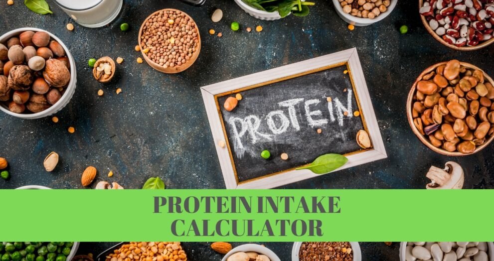 protein calculator for weight loss