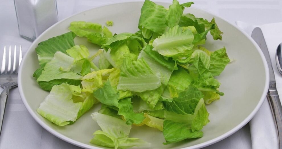 calories in lettuce leaves