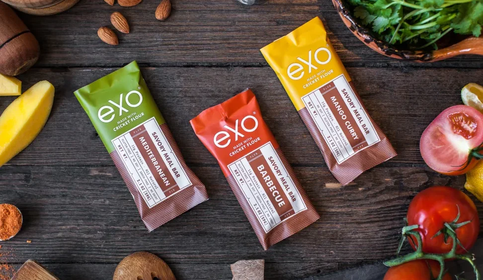 savory protein bars