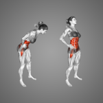 Arm Circles: Skyrocketing Your Shoulder Strength and Mobility