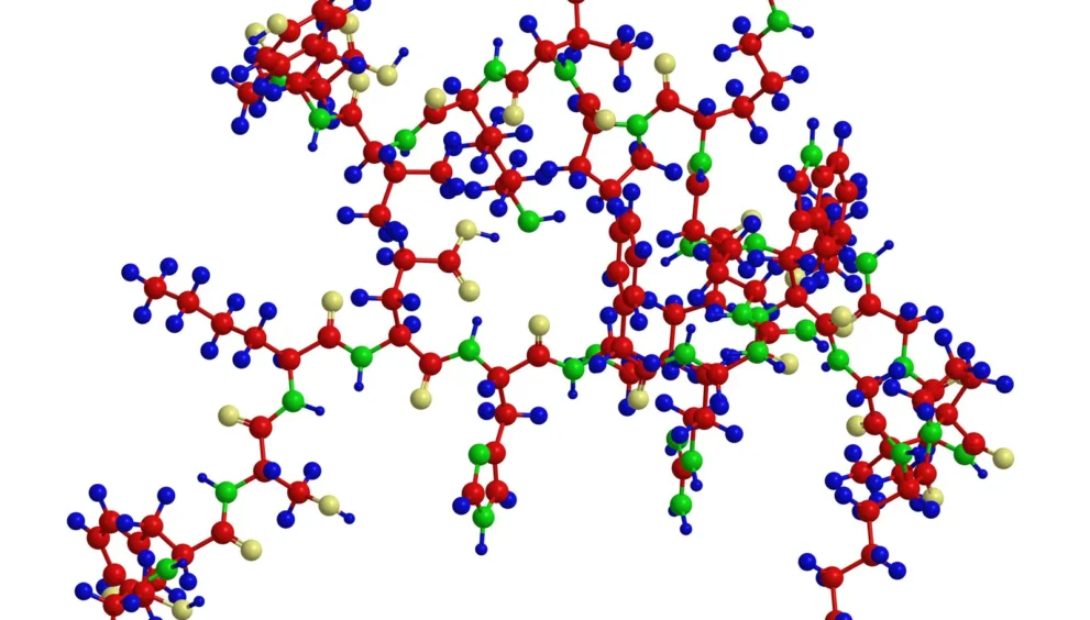 major basic protein