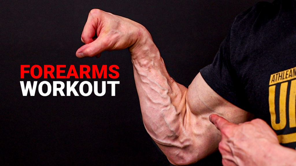 forearm workouts