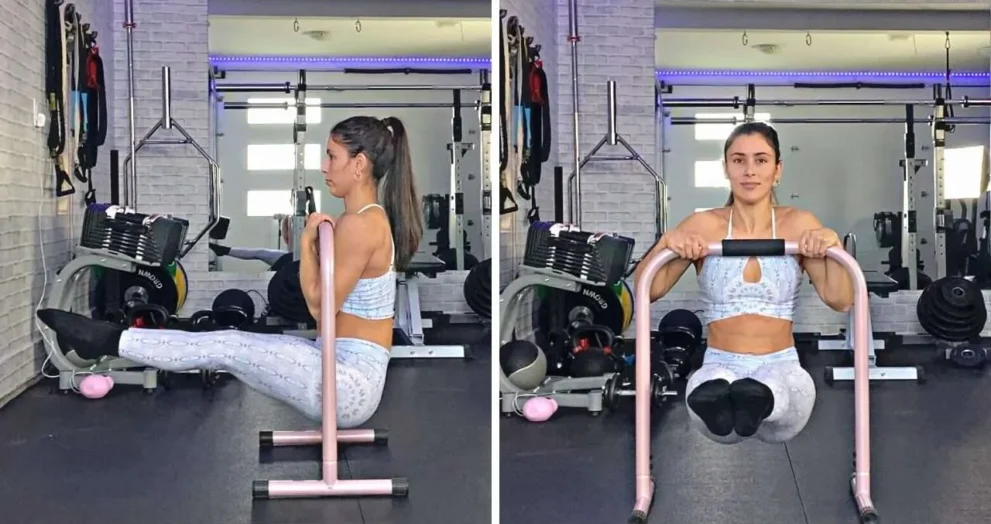 dip exercise bars