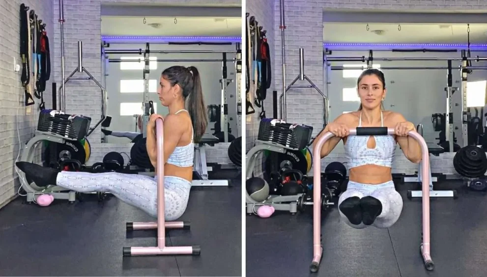 dip exercise bars