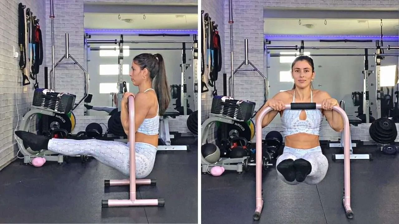 dip exercise bars