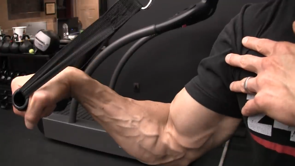 Forearm Workout Equipment
