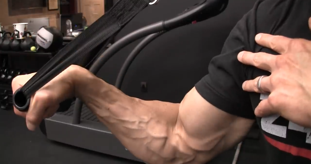 Forearm Workout Equipment