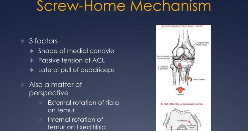 screw home mechanism
