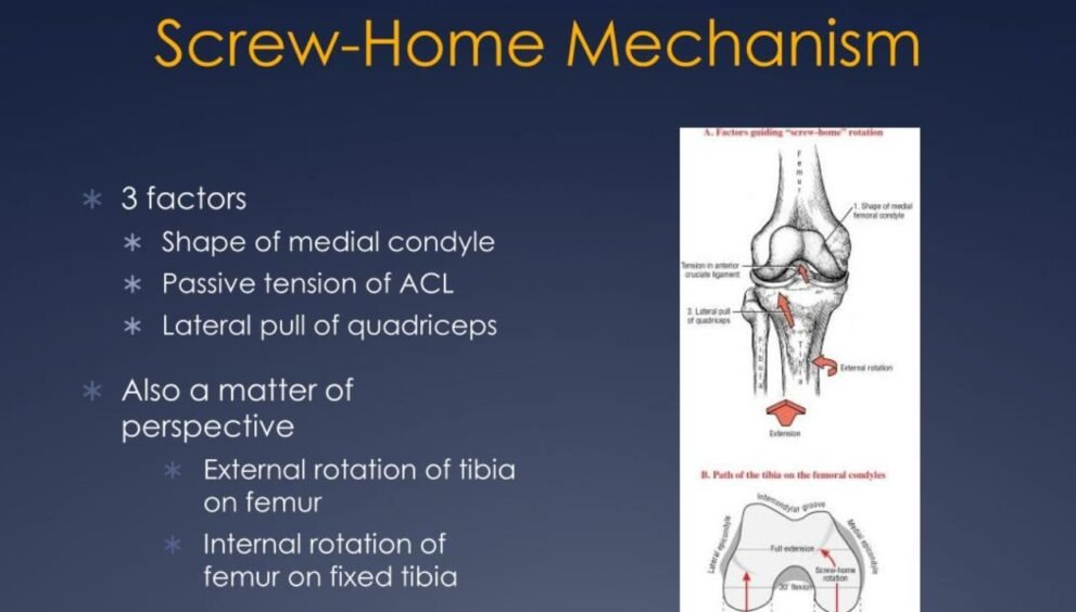 screw home mechanism
