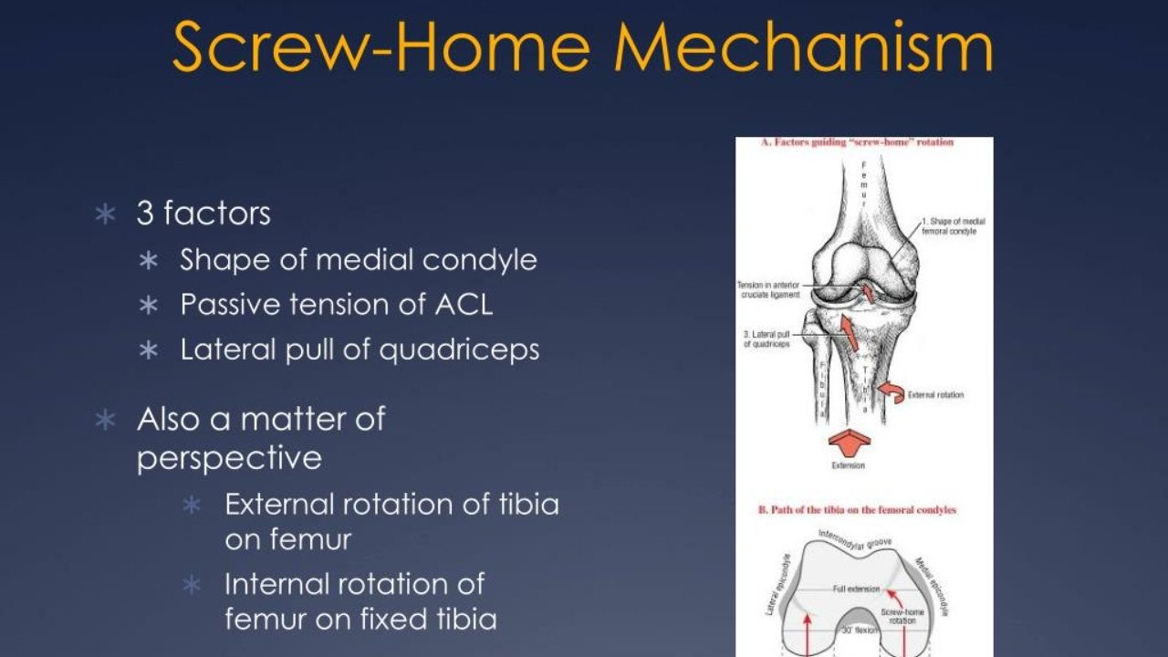 screw home mechanism