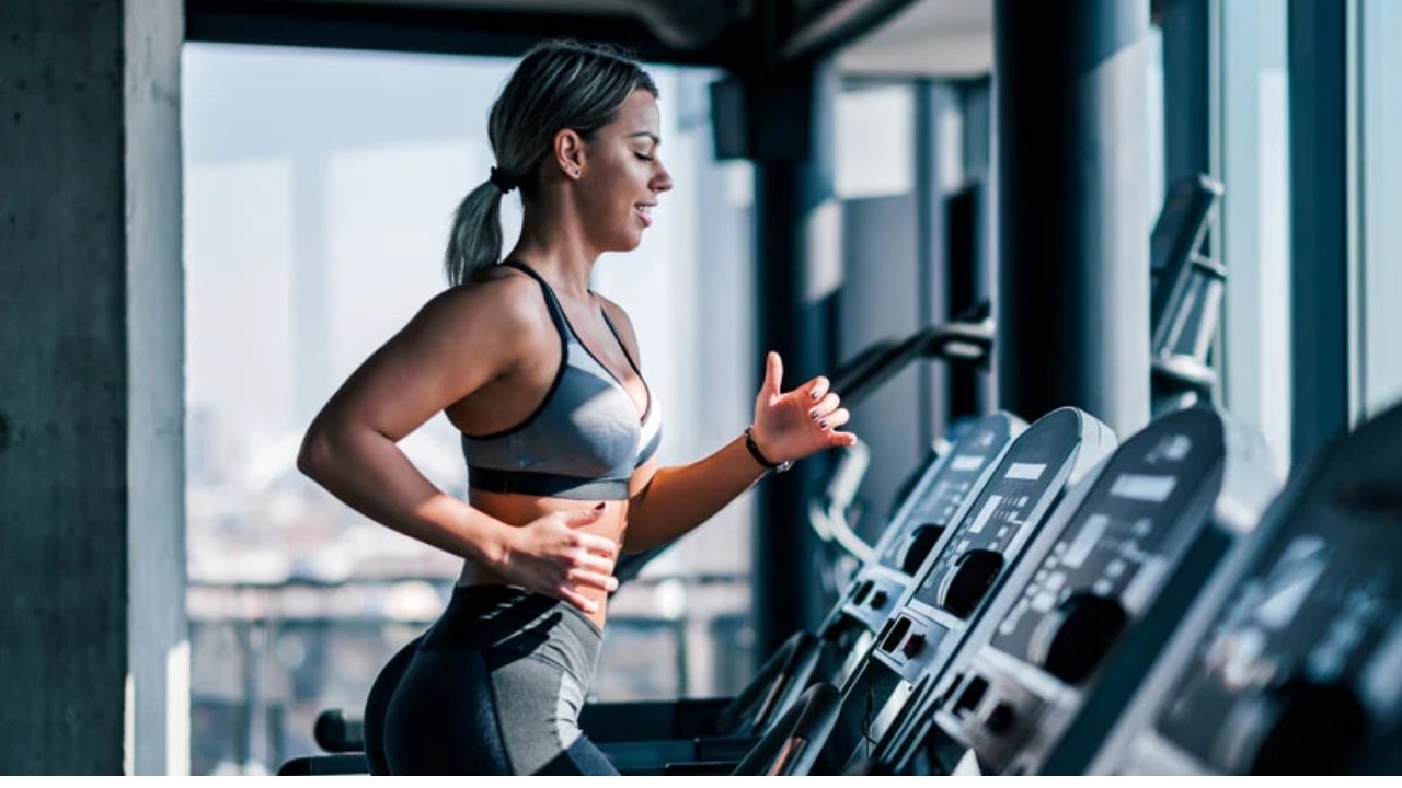 what is steady state cardio