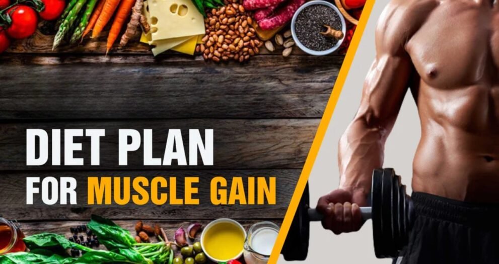 diet plan for muscle gain