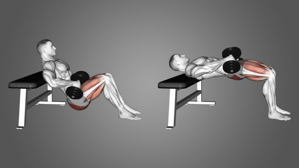 hip thrust primary muscles worked