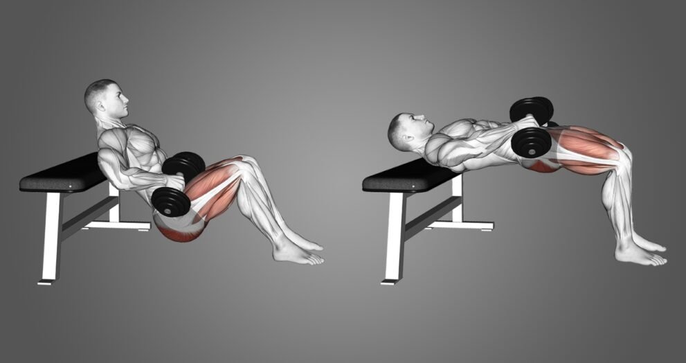 hip thrust primary muscles worked