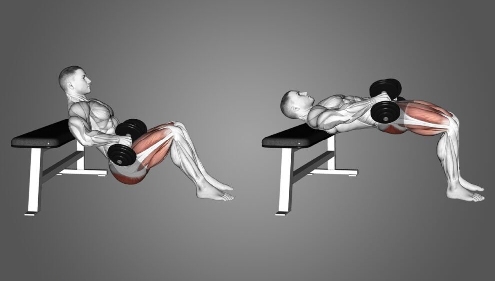 hip thrust primary muscles worked