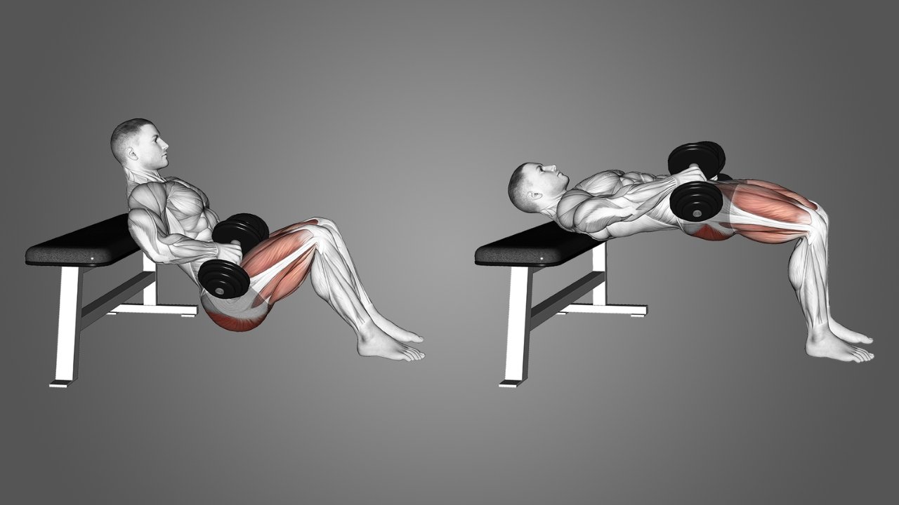 hip thrust primary muscles worked