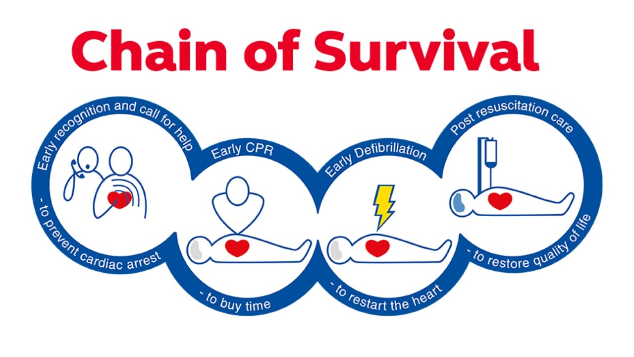 cardiac chain of survival
