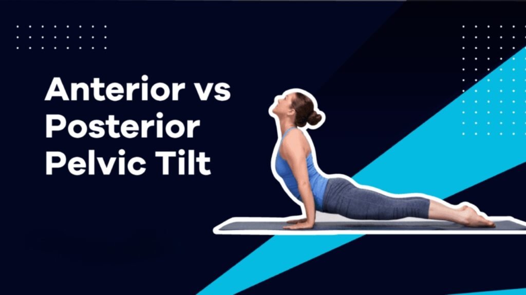 anterior vs posterior pelvic tilt