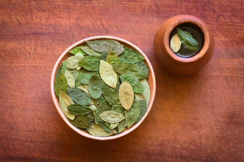 hoja de coca benefits