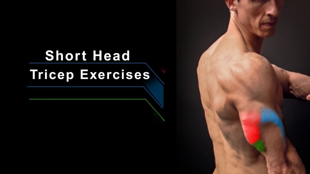 Short Head Tricep Exercises