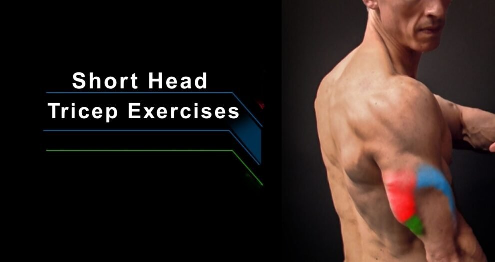 Short Head Tricep Exercises