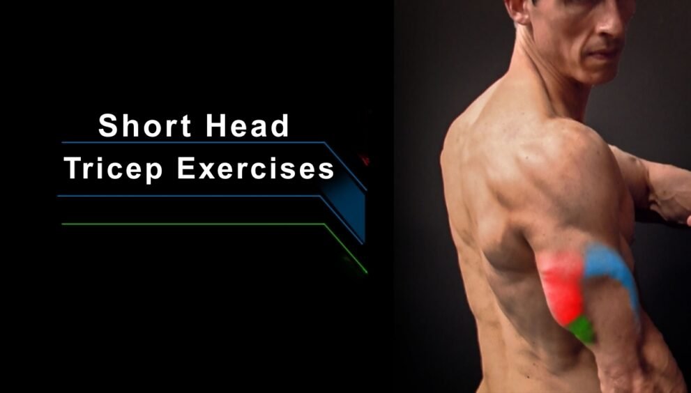 Short Head Tricep Exercises