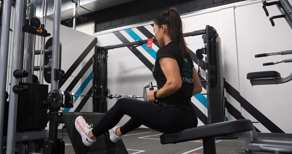 back exercise machine