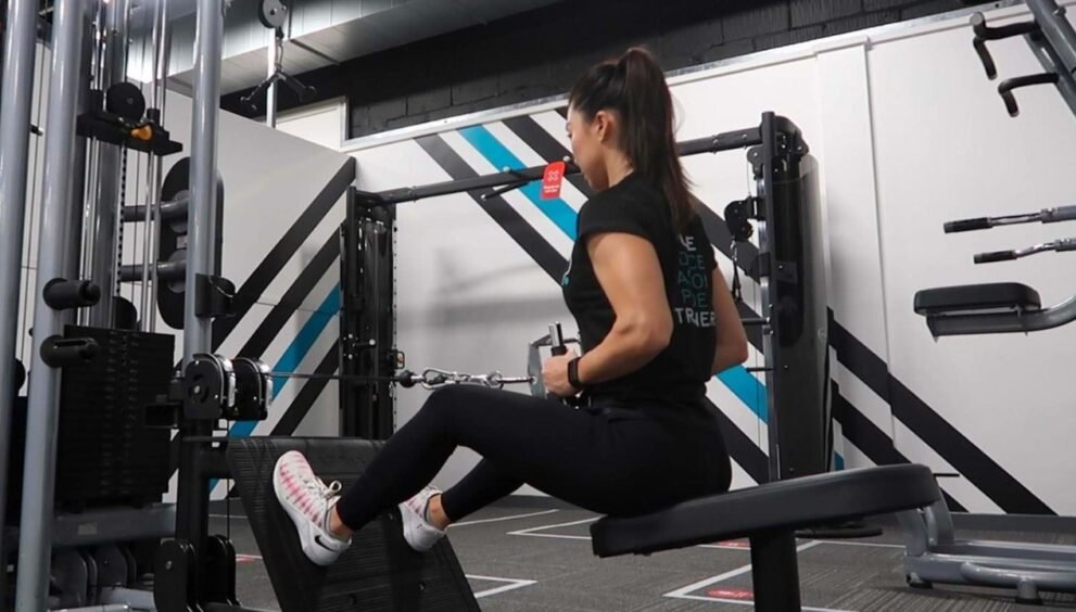 back exercise machine