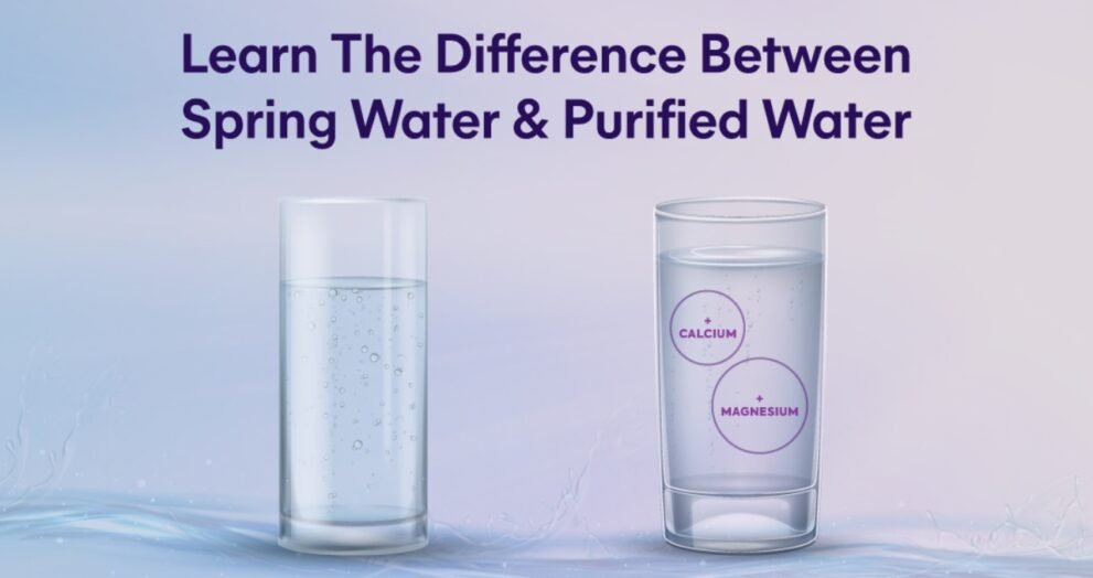 purified water vs spring water