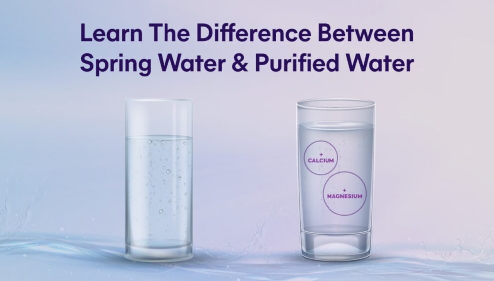 purified water vs spring water