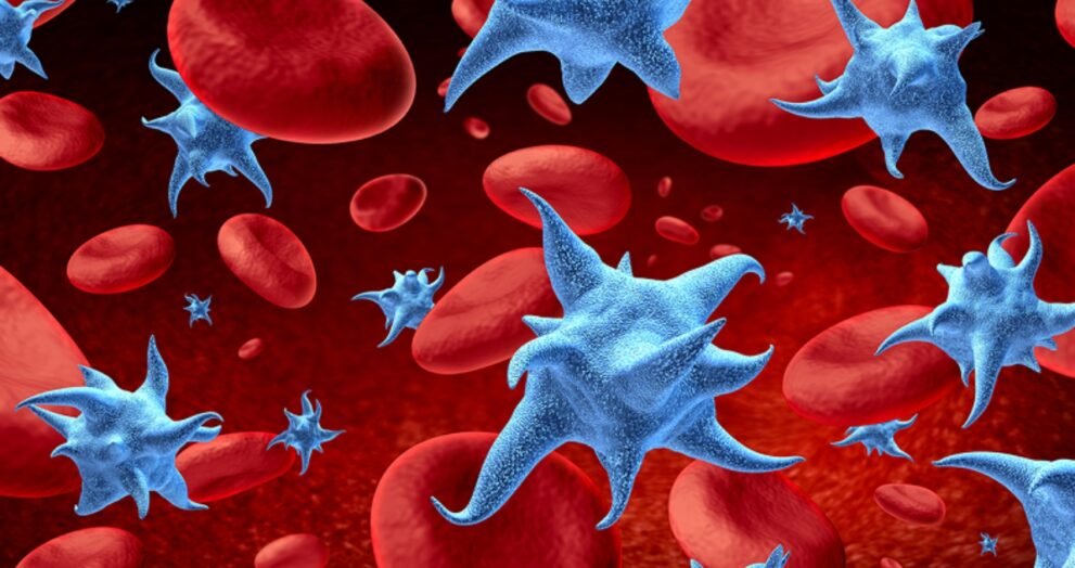 irradiated blood