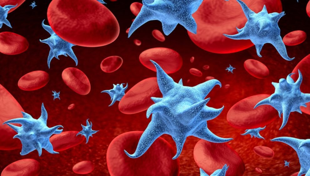 irradiated blood