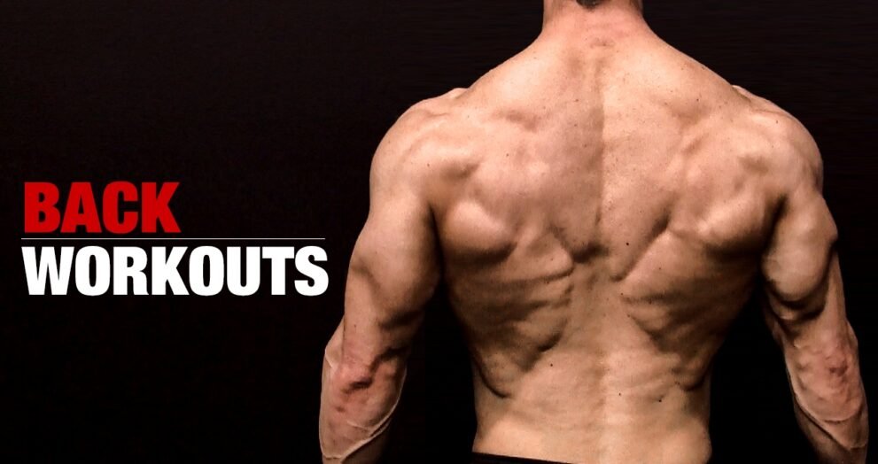 back muscle for short
