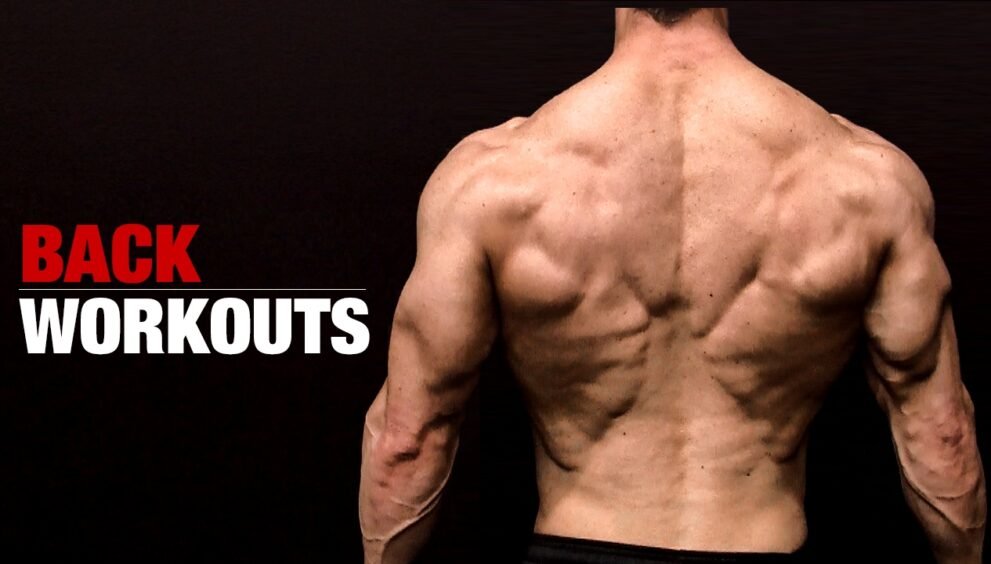 back muscle for short