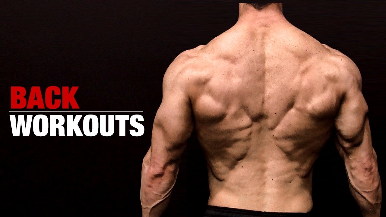 back muscle for short