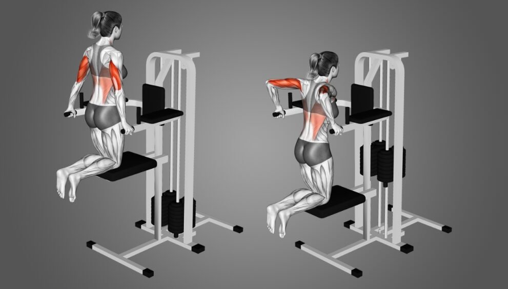 assisted dip machine