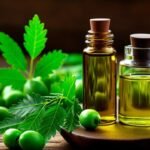 The Ultimate 2500 Calorie Meal Plan: A Guide to Balanced Nutrition to a Healthy lifestyle