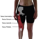 Unlocking Mobility and Strength: The Ultimate Guide to Hip Circle Exercises